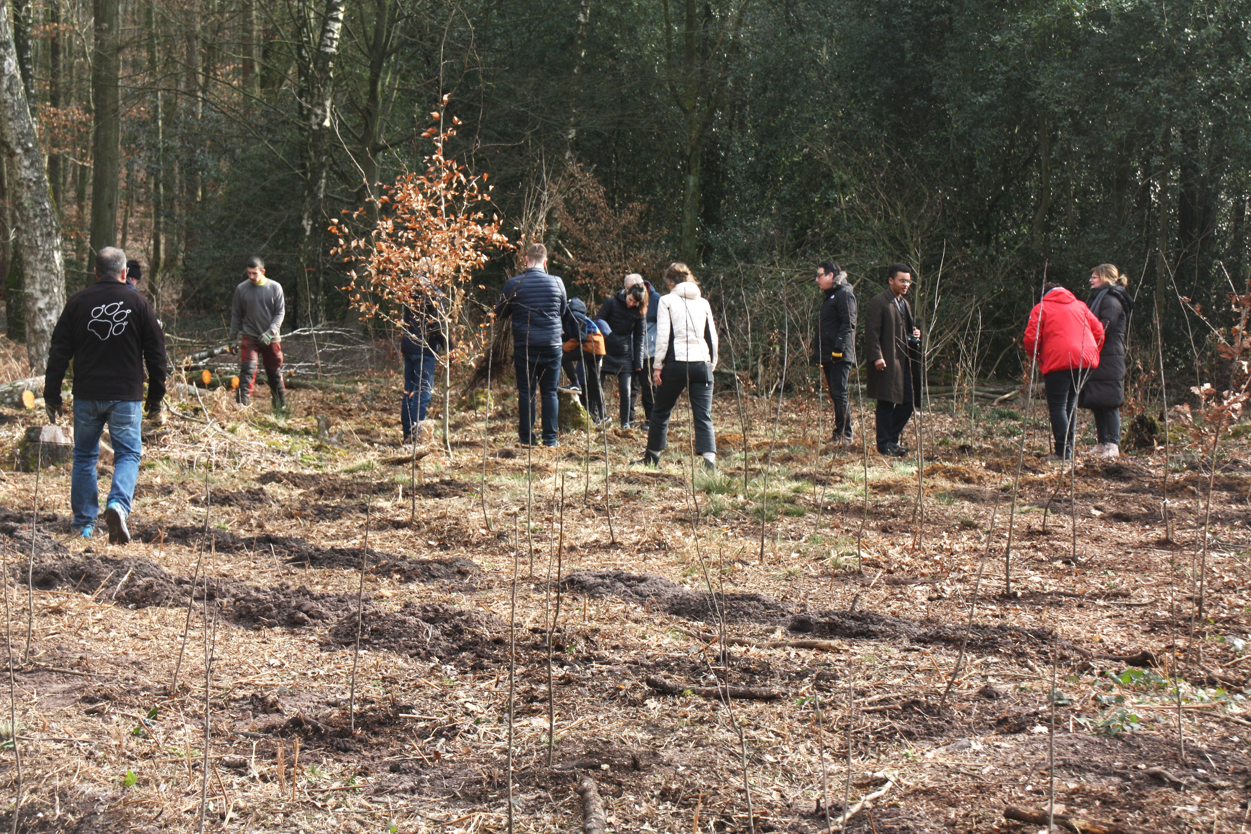 Baumpflanzaktion 2025